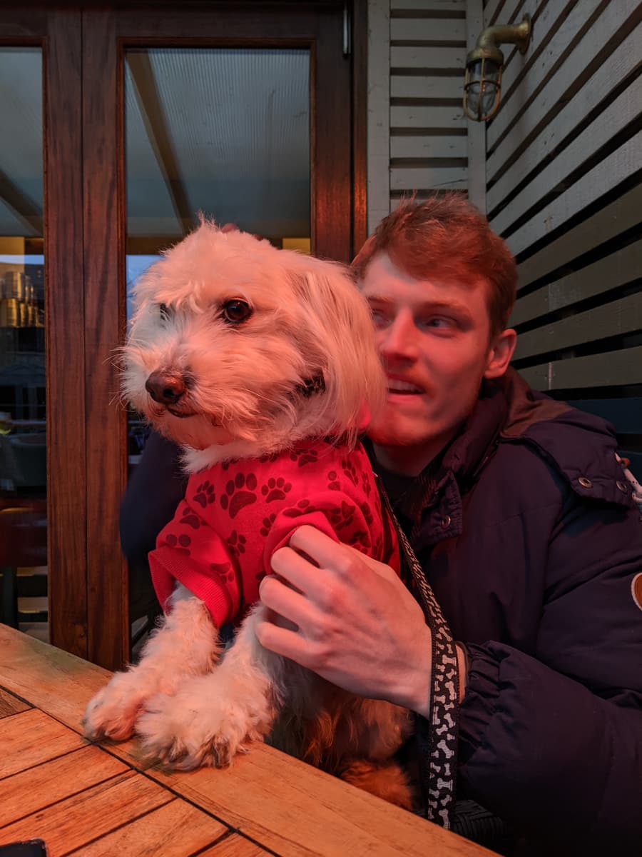 A little white dog in a red jumper out at a pub